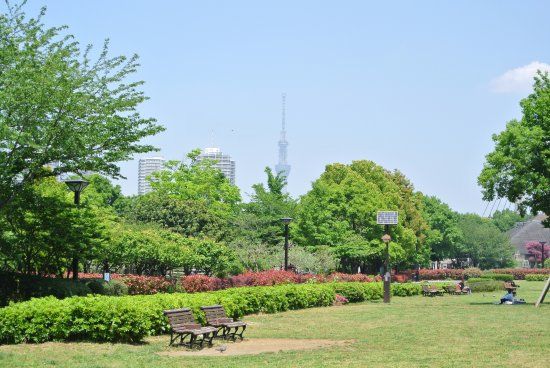 Parco Kiba